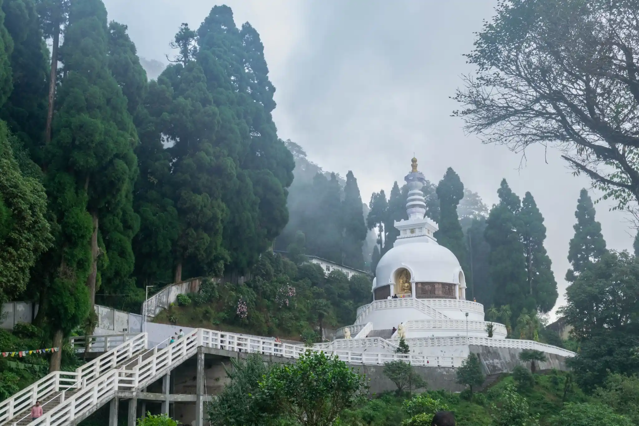 Gangtok, Pelling & Darjeeling Tour