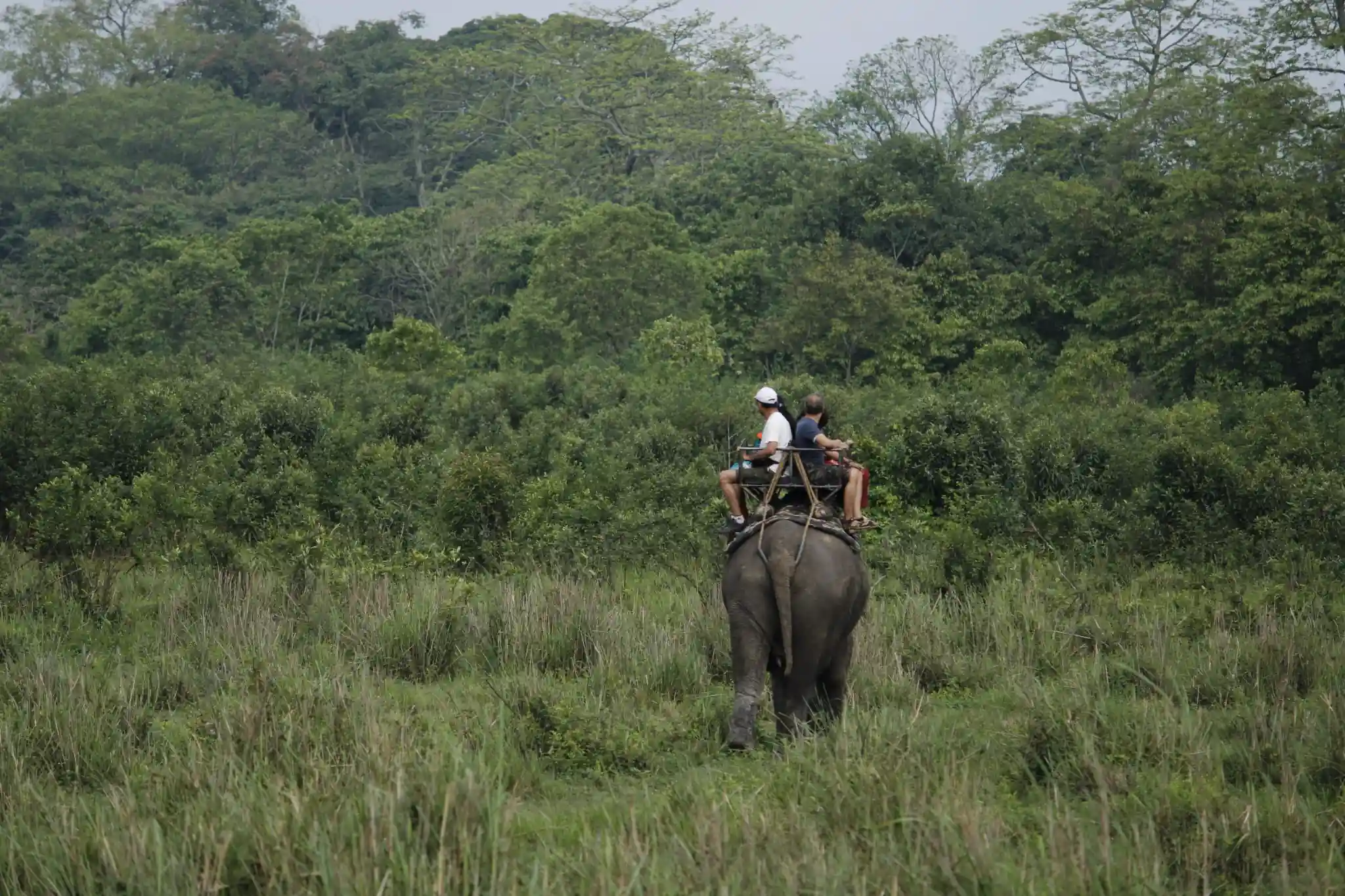 Guwahati & Kaziranga National Park Tour
