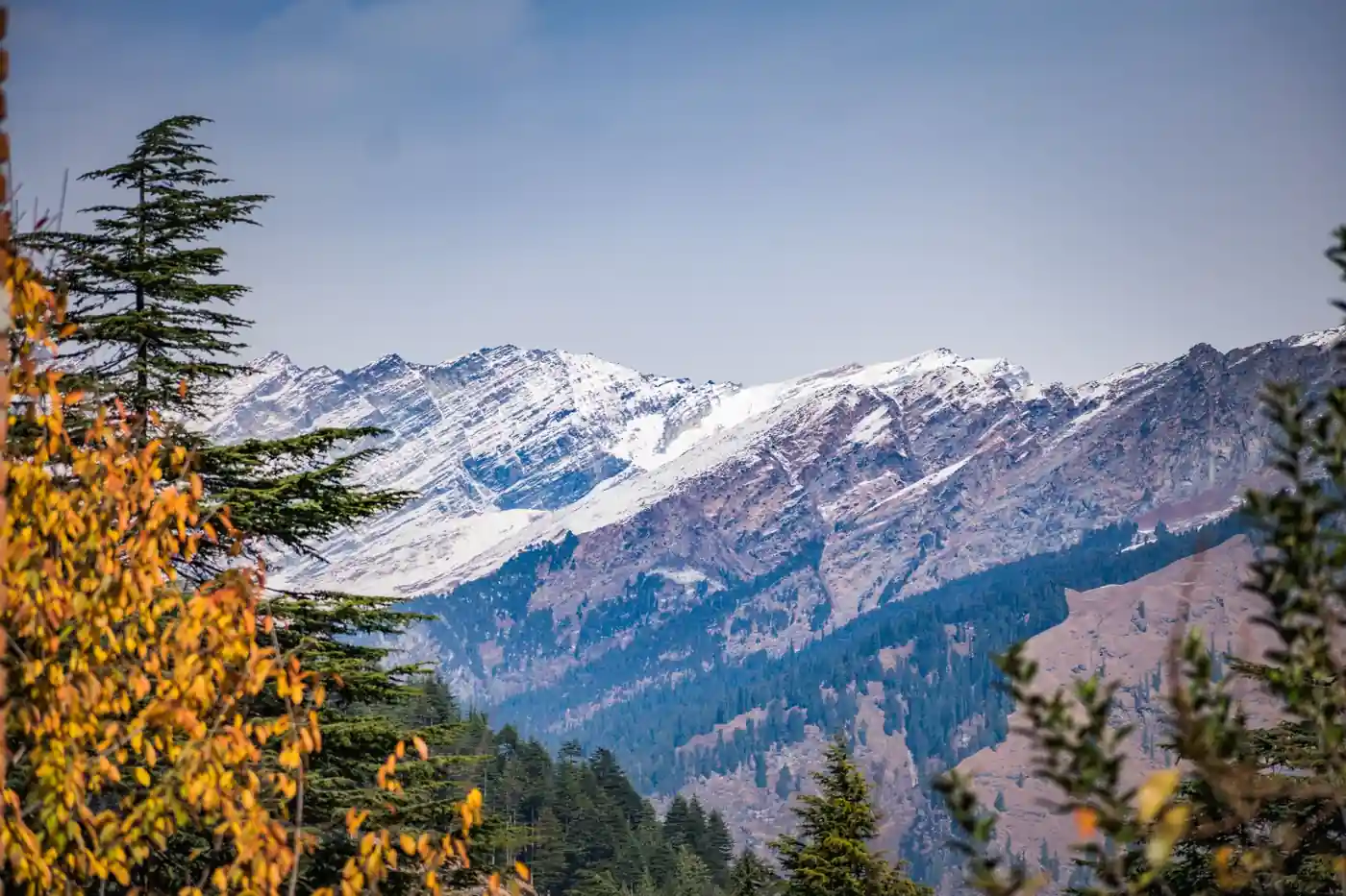 Shimla, Manali & Kasol Tour Package