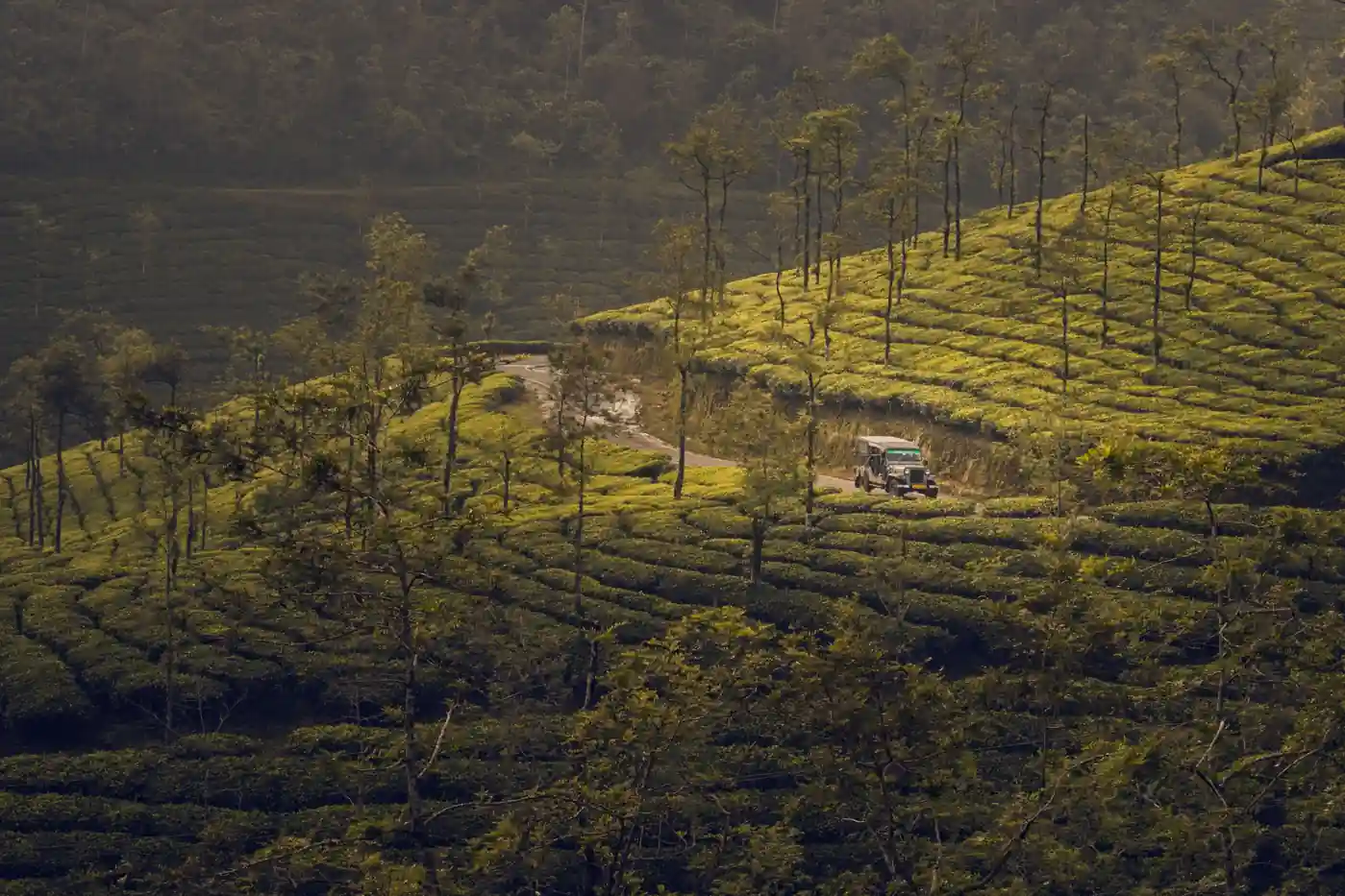 Kochi, Munnar, Thekkady & Alleppey Tour Package