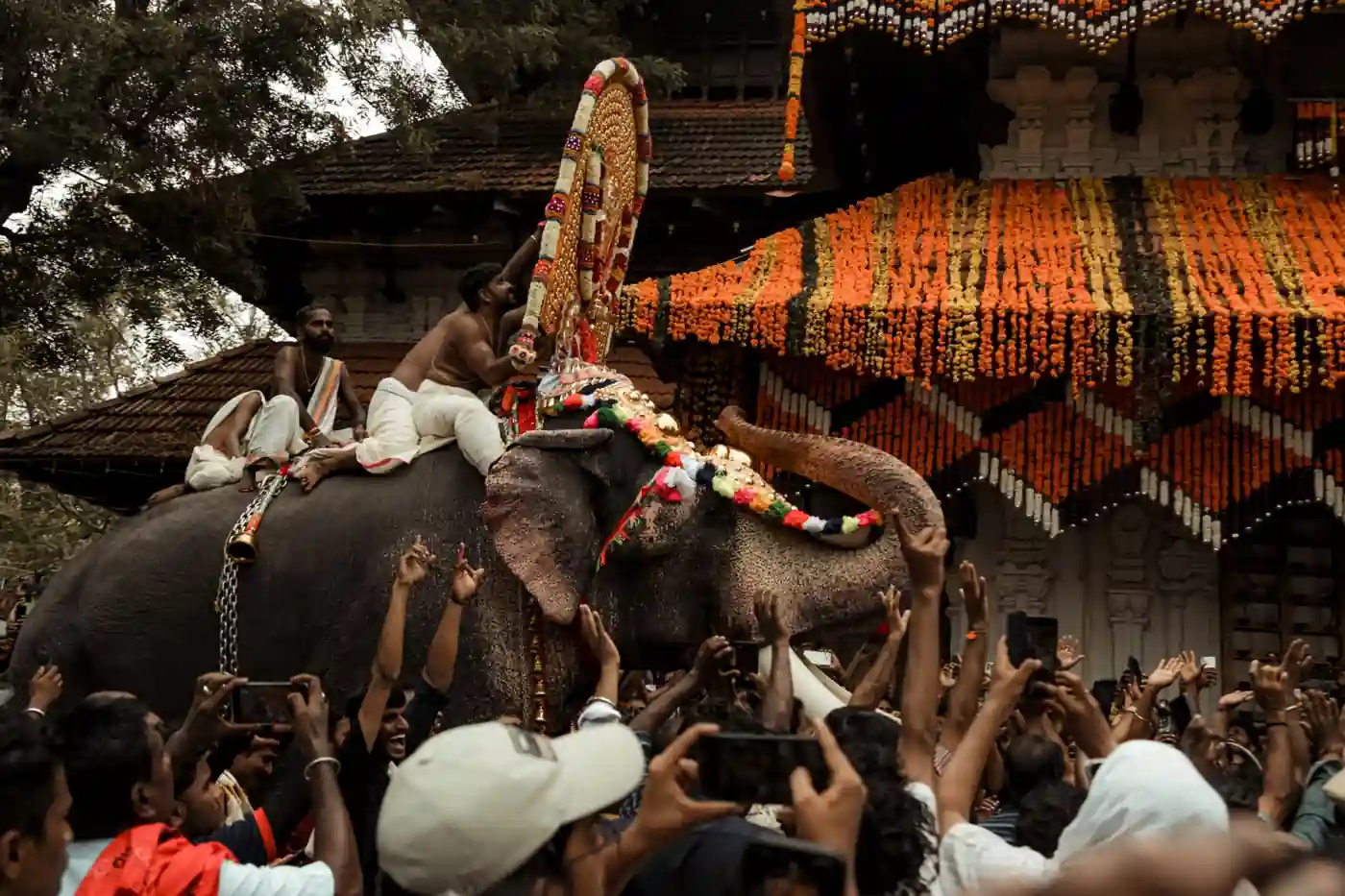 Kerala Wildlife Tour Package