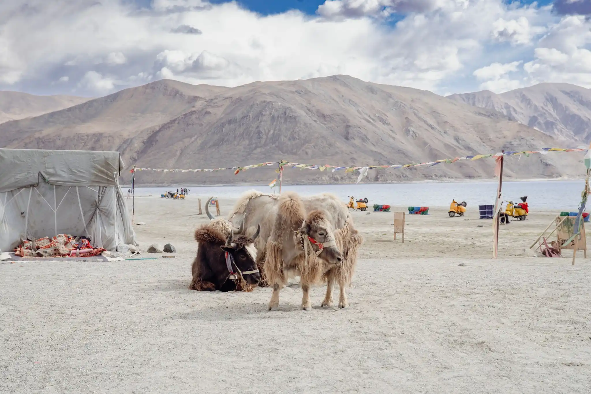 Leh, Nubra Valley, Pangong & Tso Moriri Tour Package