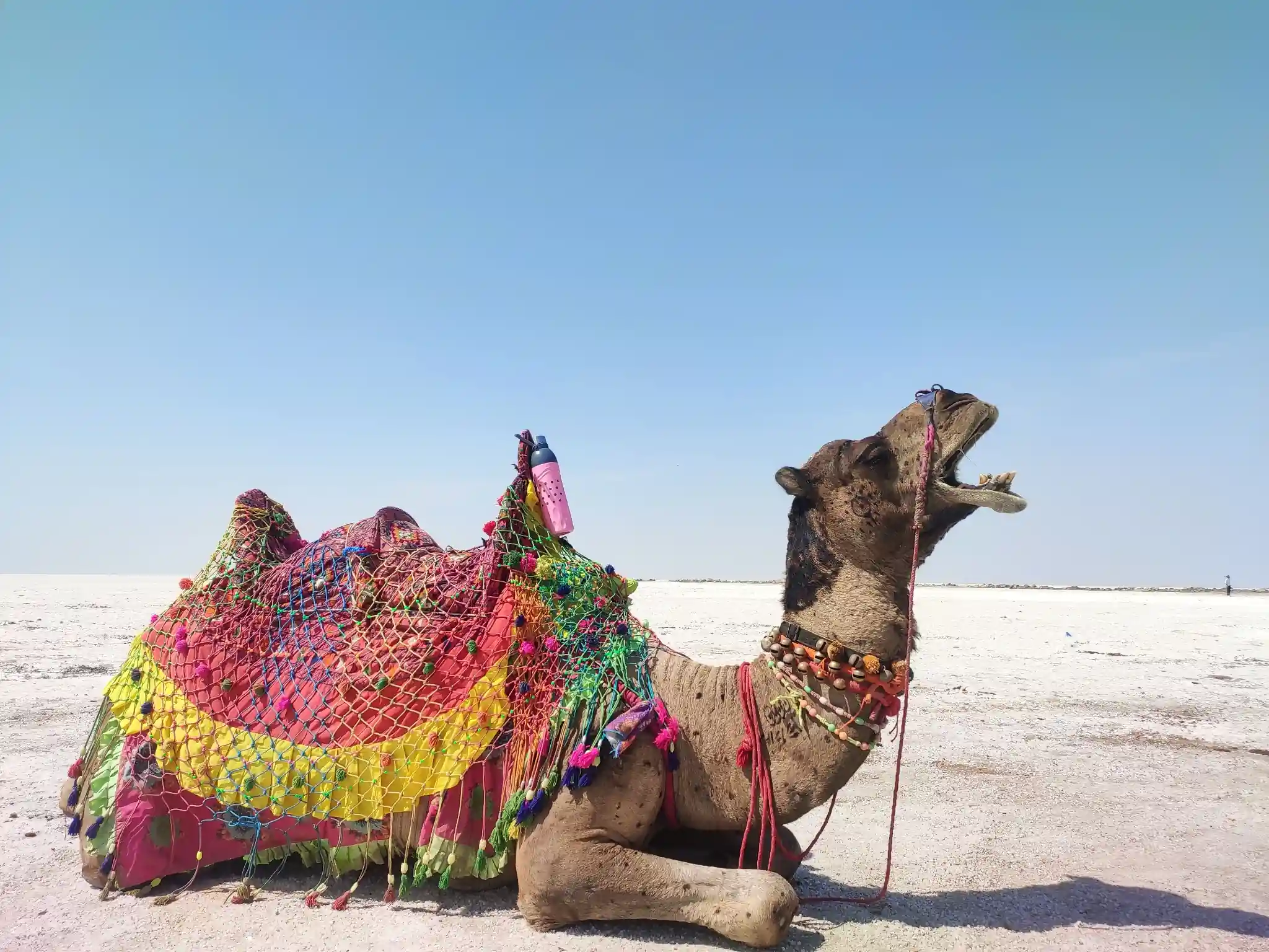 Rann of Kutch Tour Package