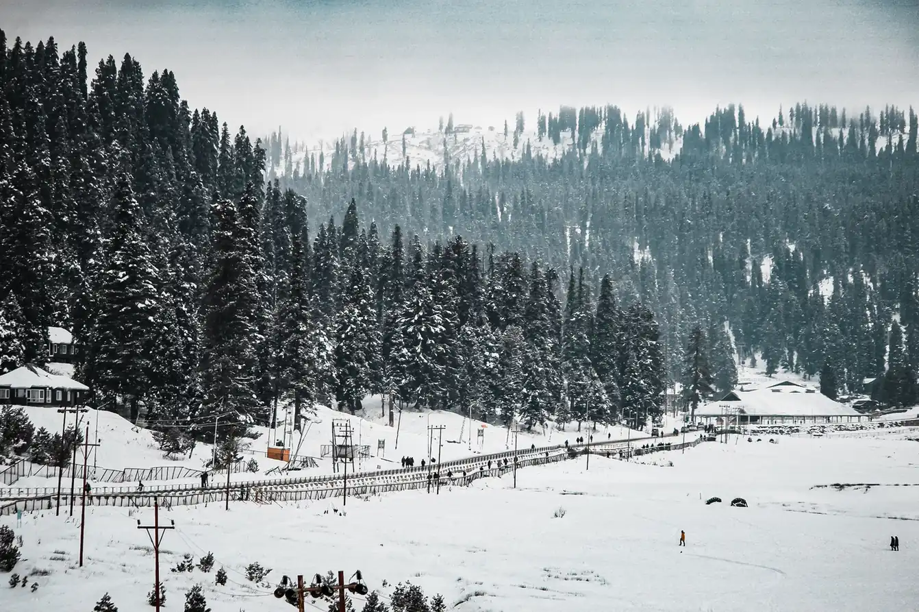 Srinagar & Gulmarg Group Tour