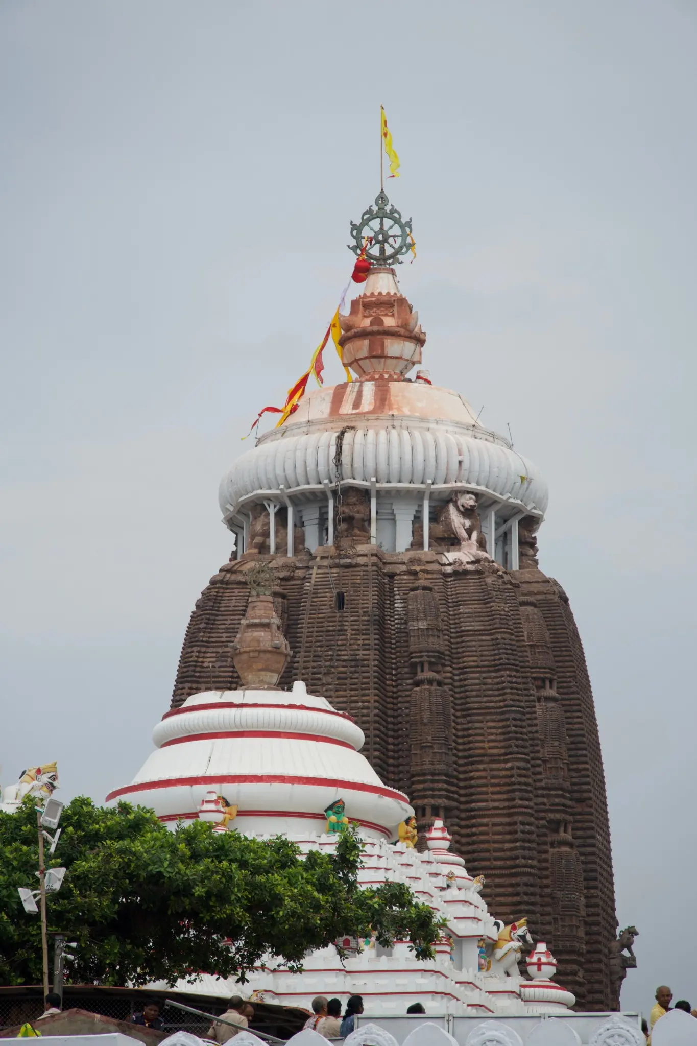 Jyotirlinga Yatra – Sacred Shiva Pilgrimage