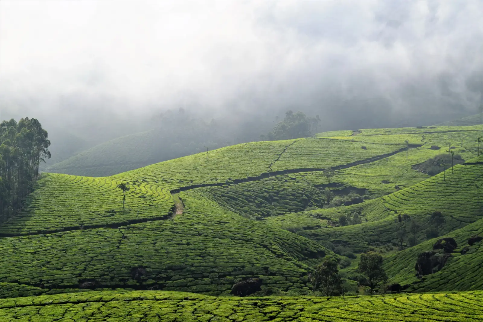 Travellers exploring India with Lama Travels