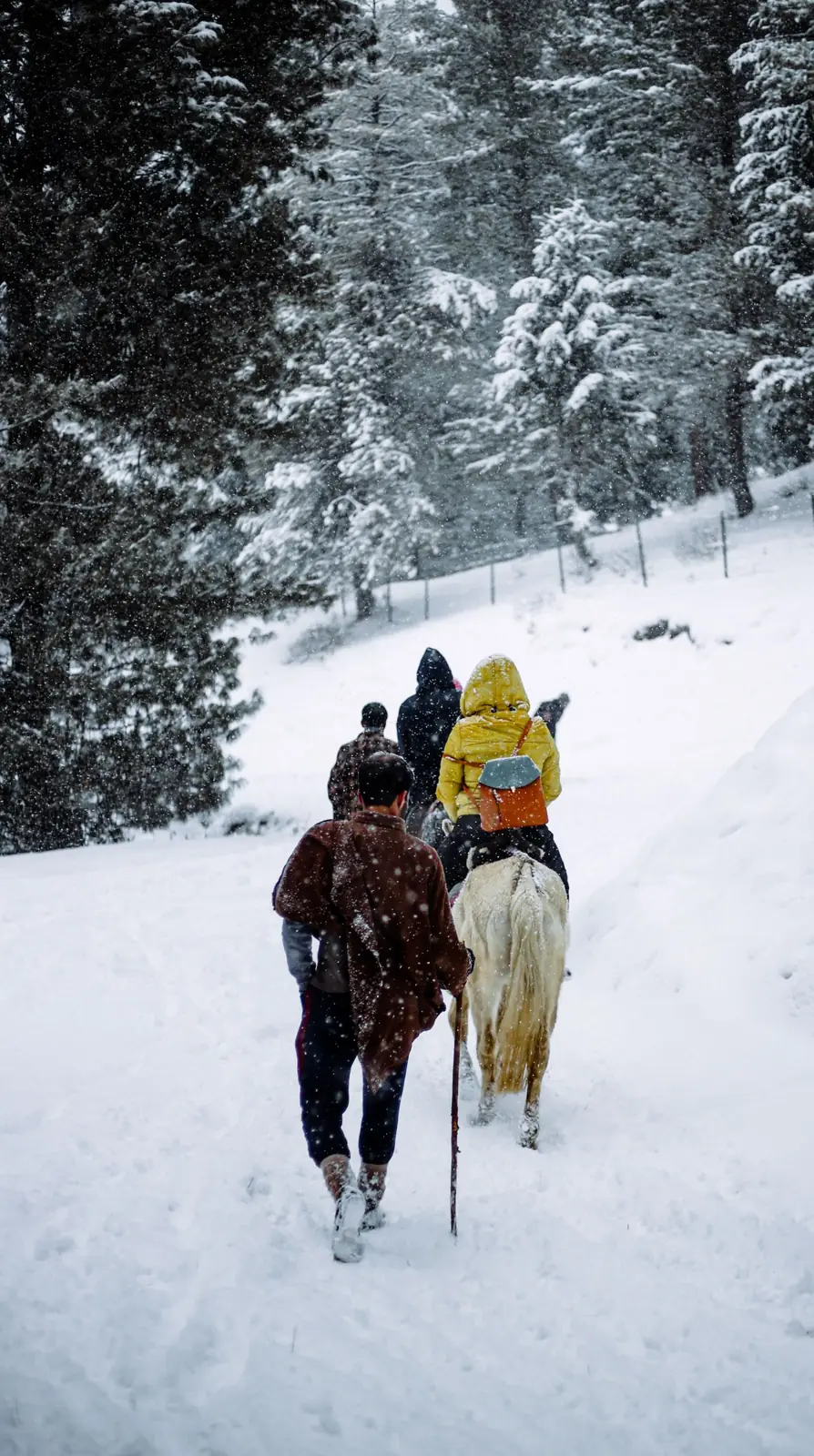 Trekking / Camping
