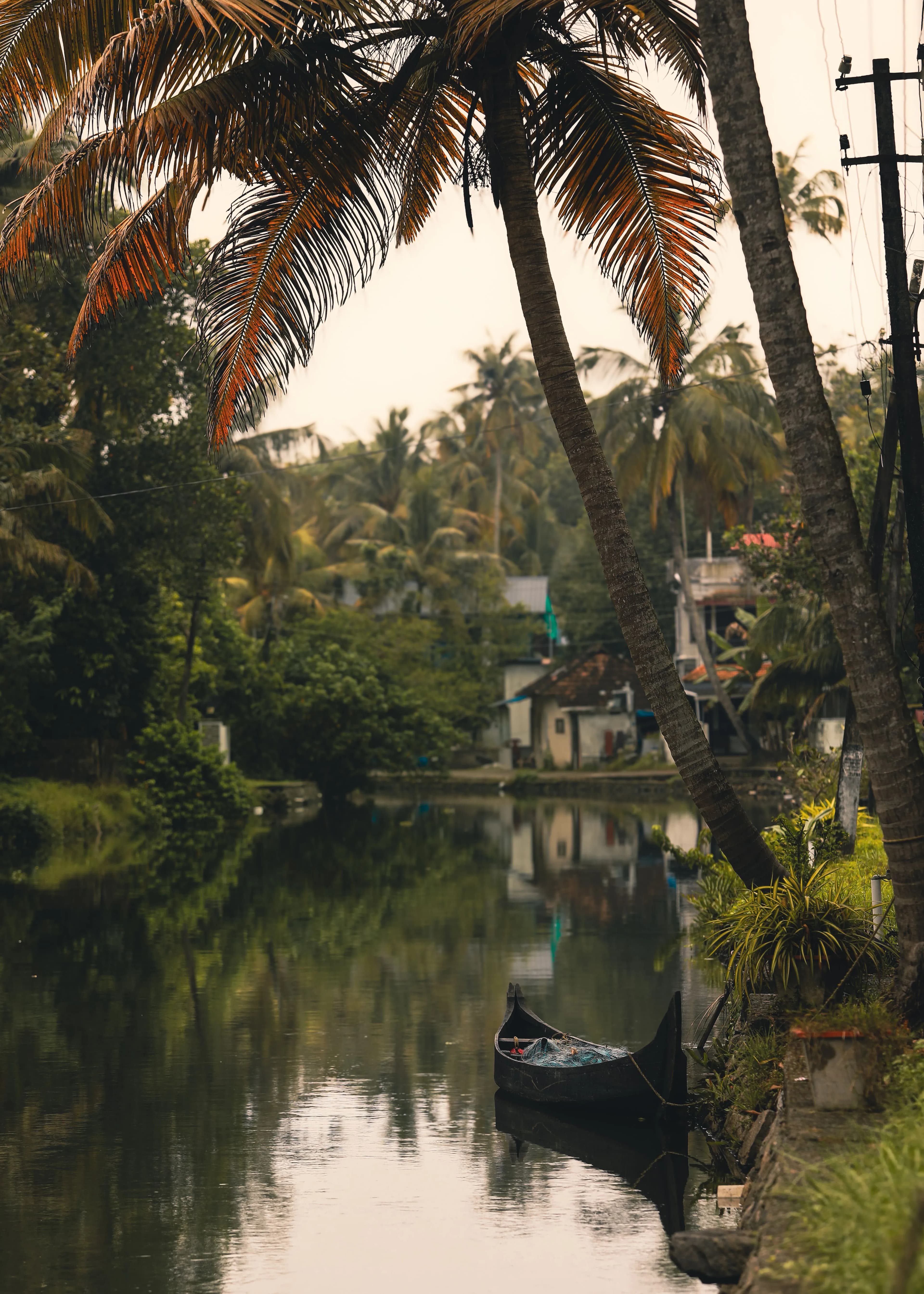 Kerala โ landscape